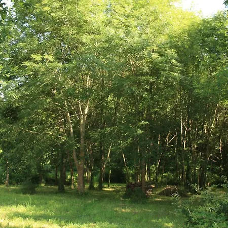 Prázdninový dům La Maison Des Eyres - Le Brin De Paille Pey